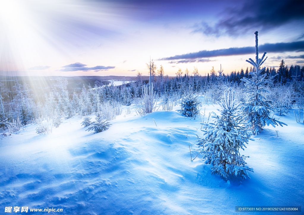 雪景