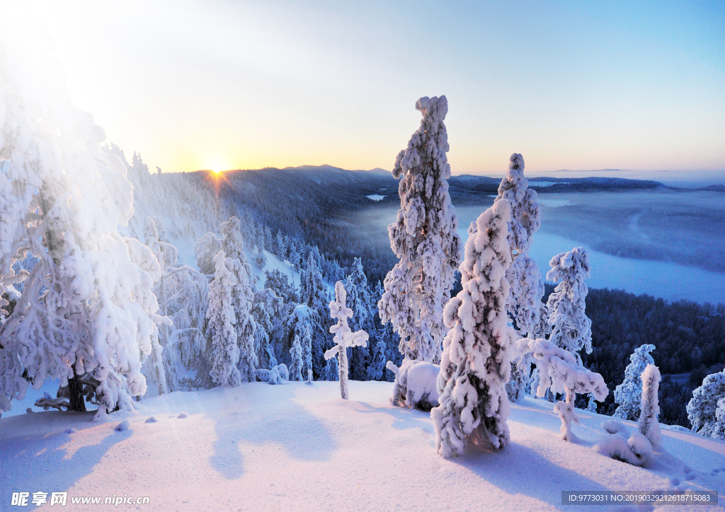 雪景