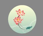 荷花素材