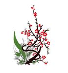 梅花