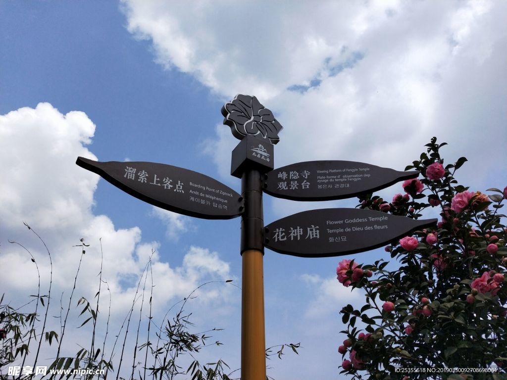 茶花
