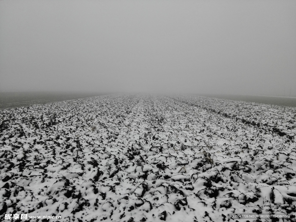 雪