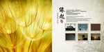 中国风 画册 文字 图片 排版