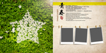 中国风 画册 文字 图片 排版