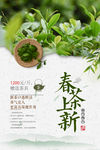 春茶上新