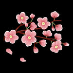 梅花