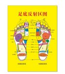 足底反射区