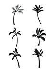 椰子树  椰子树01  椰子树