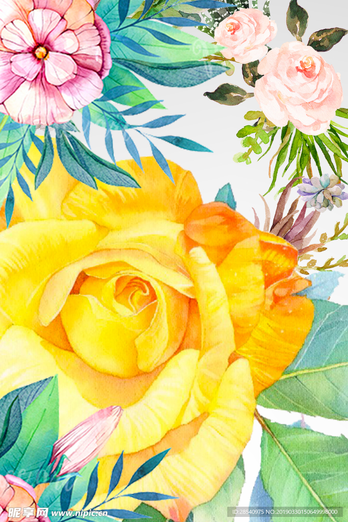 高档牡丹花背景