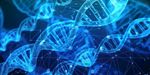 DNA 基因