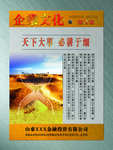 企业文化挂图