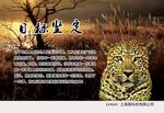 企业文化展板