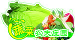 蔬菜