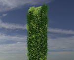 植物墙模型