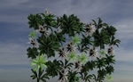 植物墙模型