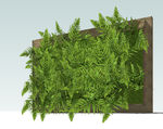 植物墙模型