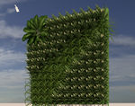 植物墙模型