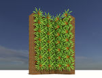 植物墙模型