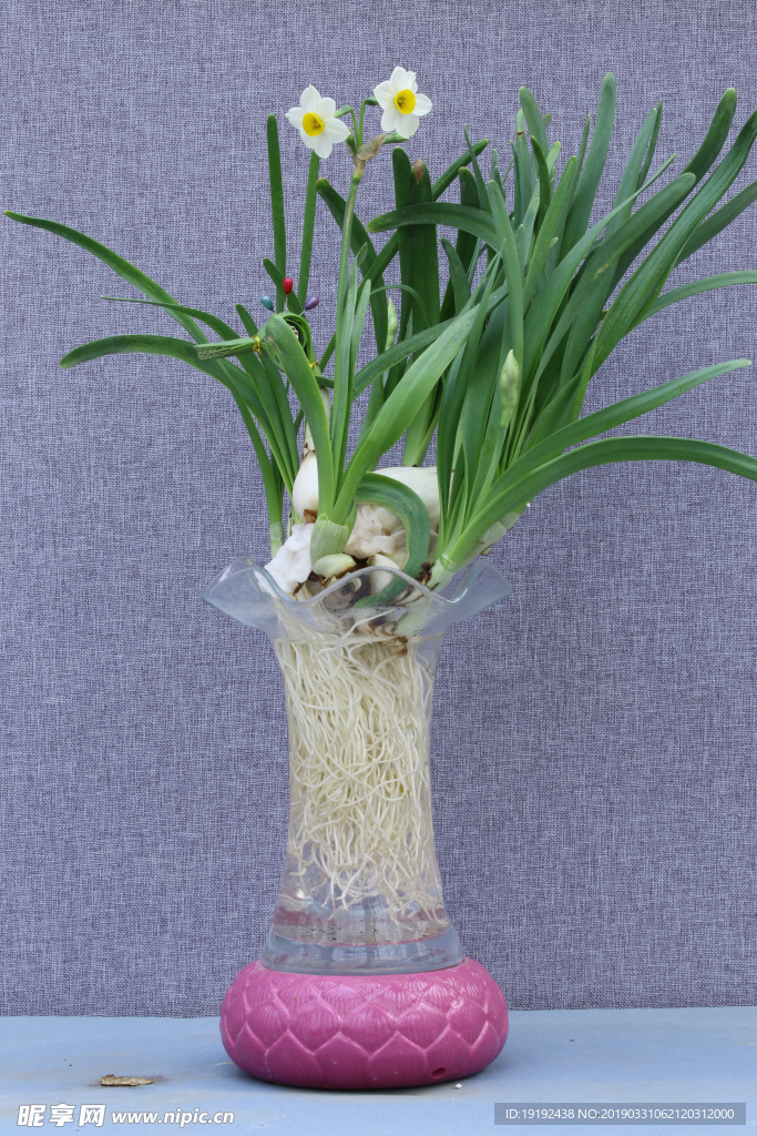 水仙花