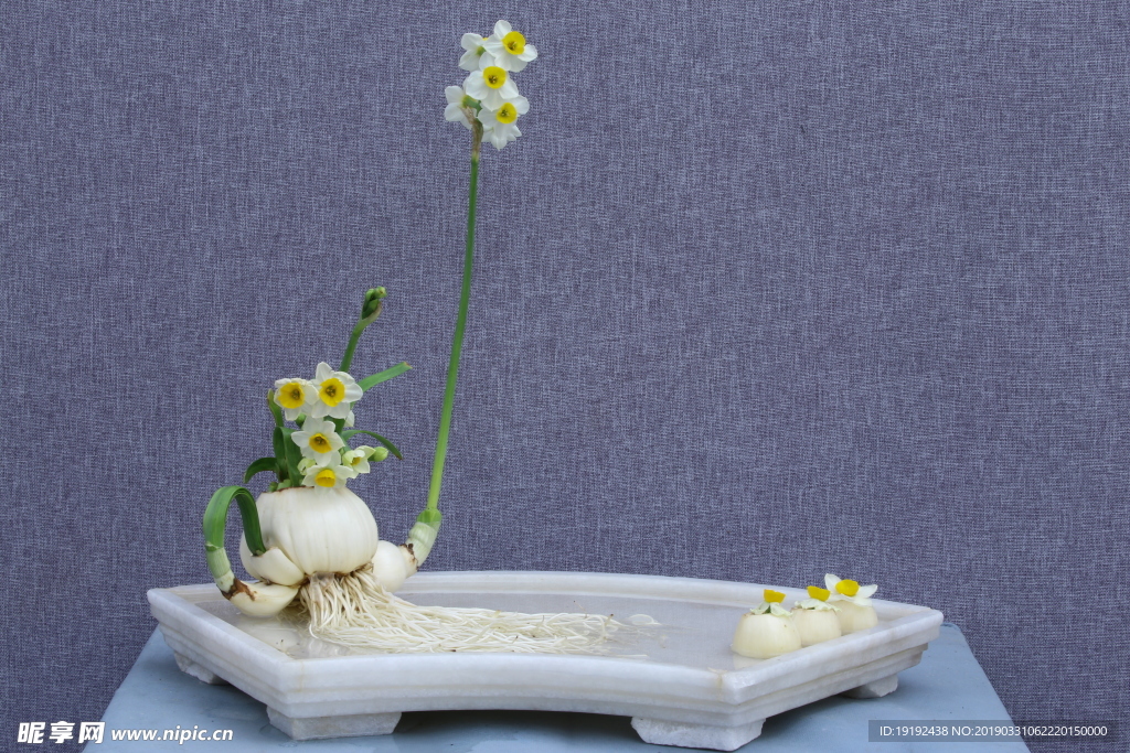 水仙花