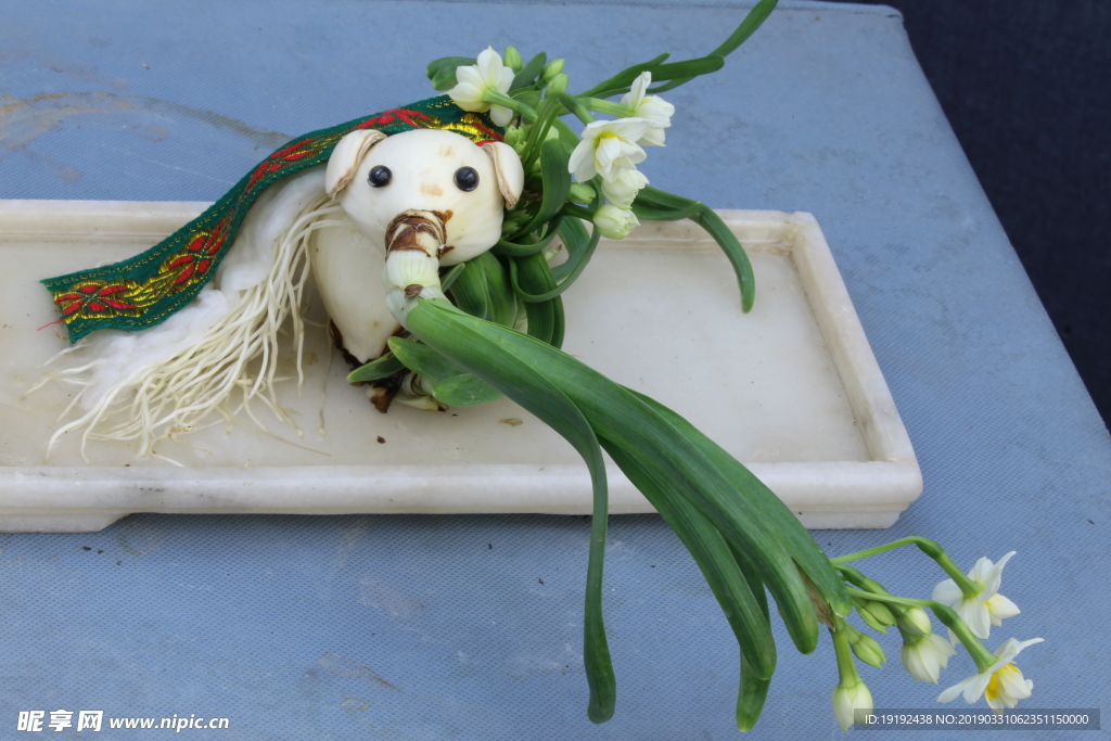 水仙花