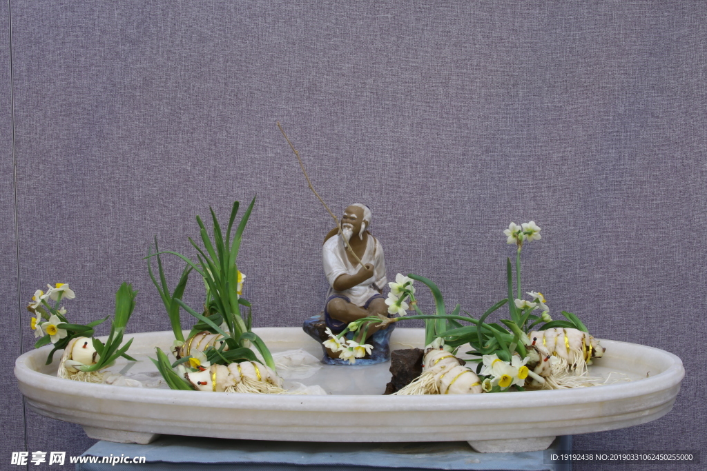 水仙花