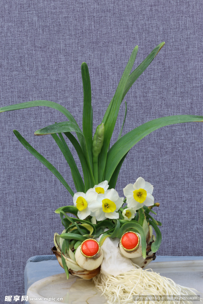 水仙花