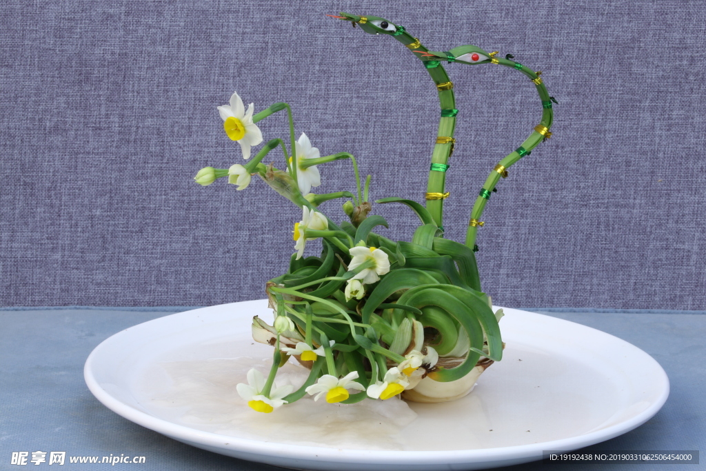 水仙花