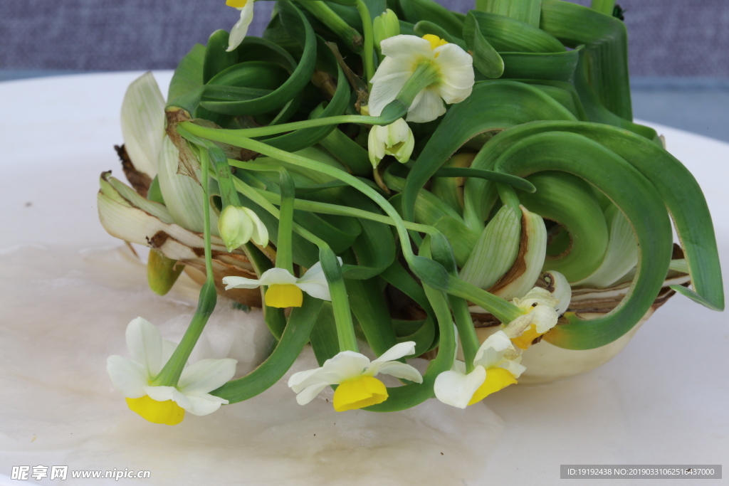 水仙花
