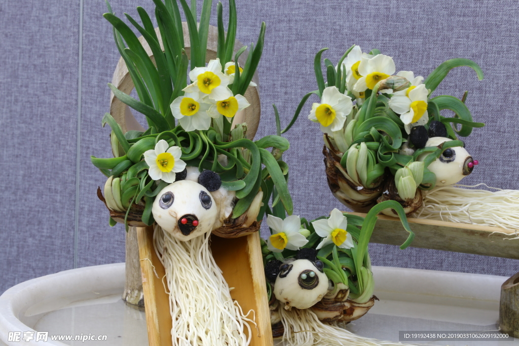 水仙花