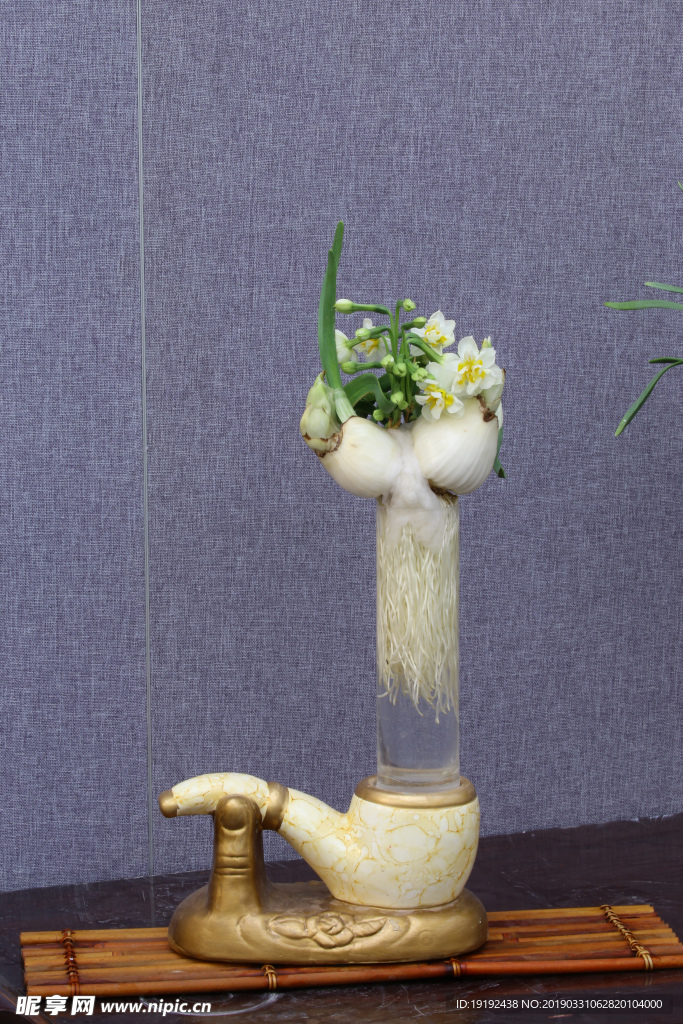 水仙花
