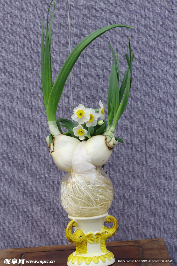 水仙花