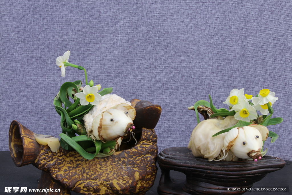 水仙花