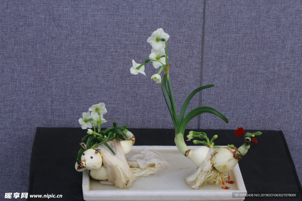 水仙花