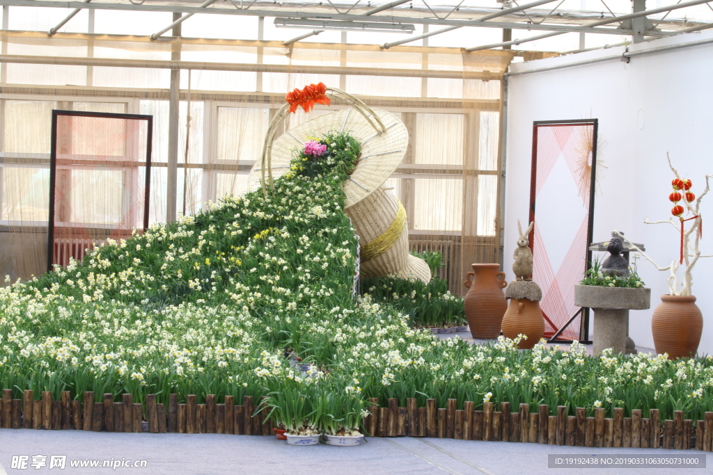 水仙花