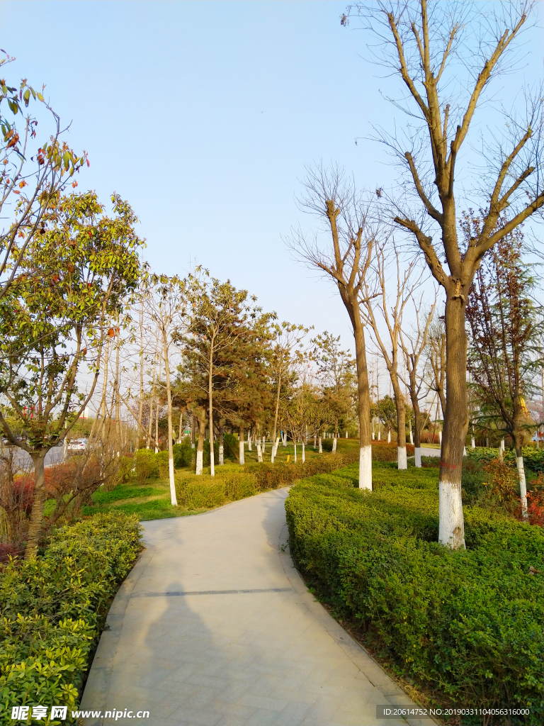 美丽的公园风景