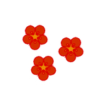 梅花