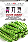青刀豆海报设计