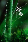 谷雨