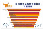 发展历程
