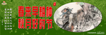 围挡-春来早耕种