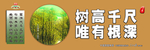树高千尺 唯有根深