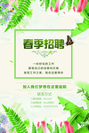 春季招聘
