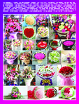 鲜花花语
