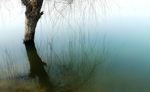 湖水