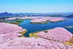 花海
