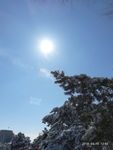雪后