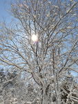 雪