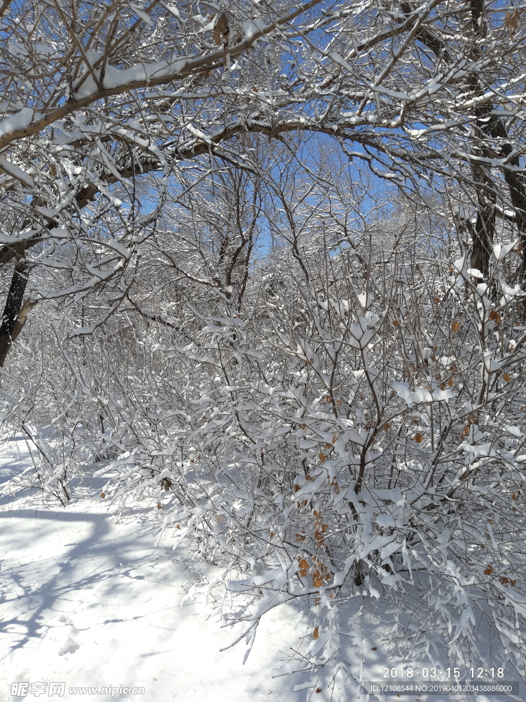 雪