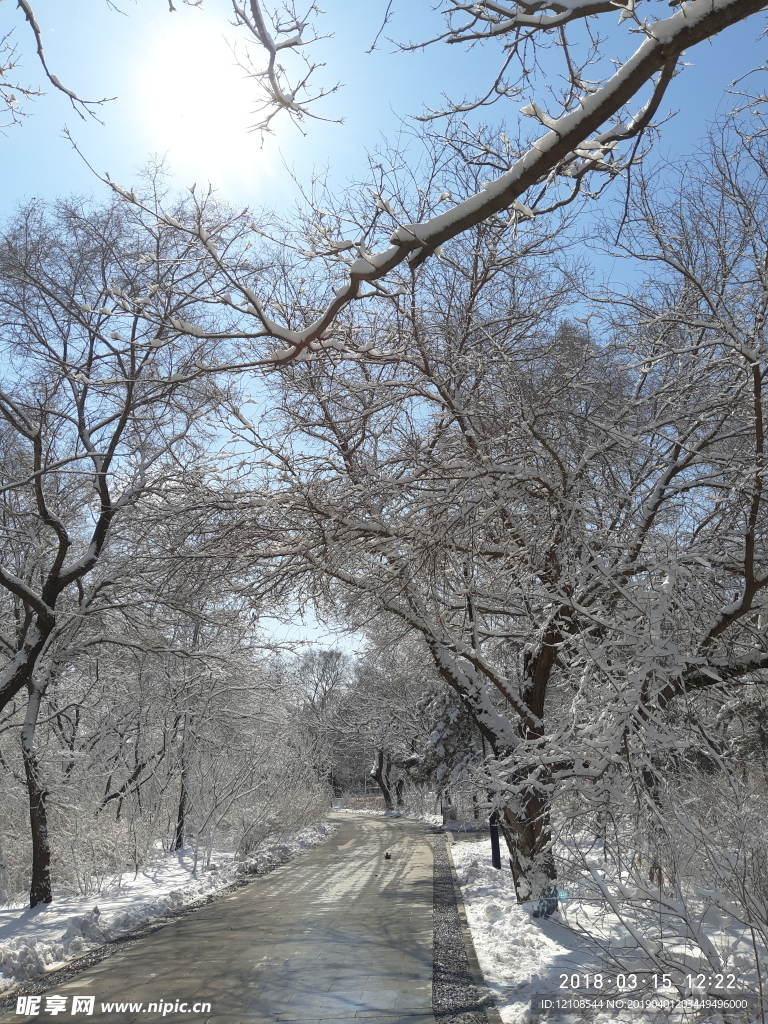 雪景